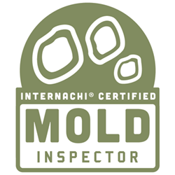 mold-inspector-logo-1546019081.